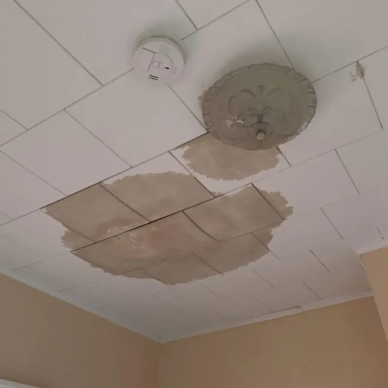 Ceiling Water Damage Repair in Walton, IN