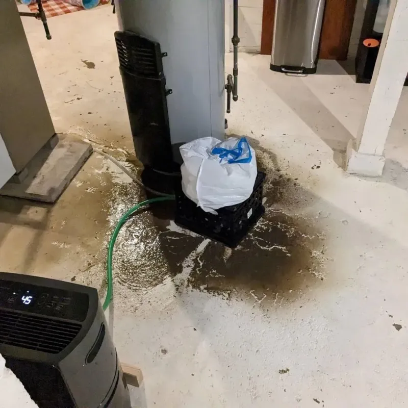 Sewage Backup Cleanup Service in Walton, IN